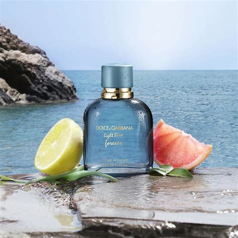 forever dolce gabbana|Dolce & Gabbana light blue fragrantica.